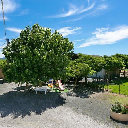 Agriturismo Case Nuove Castellina Marittima Exteriér fotografie