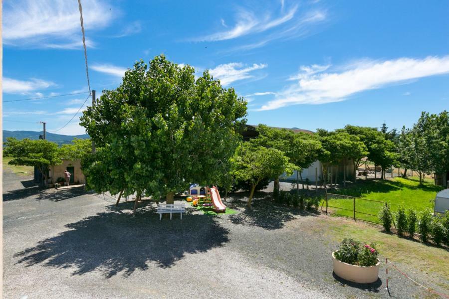 Agriturismo Case Nuove Castellina Marittima Exteriér fotografie